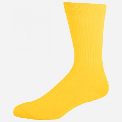 Chaussette de couleur
